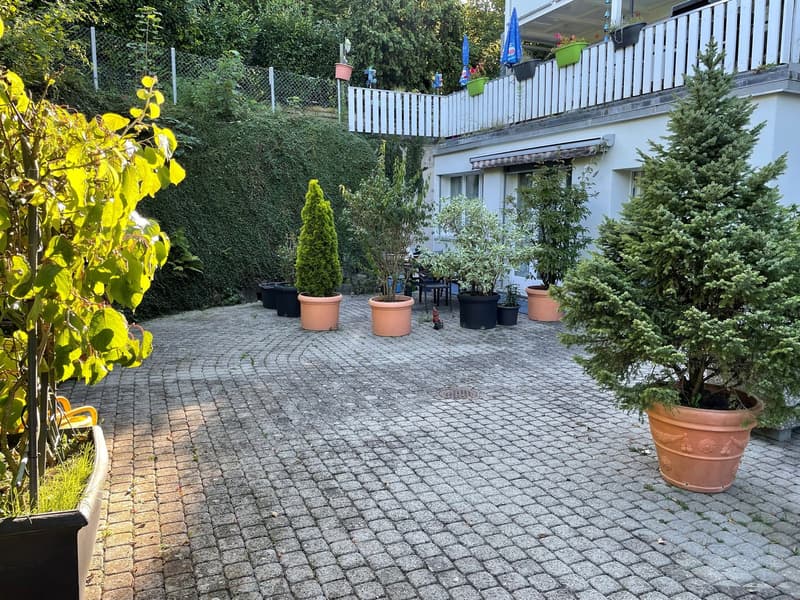 Vivere nel verde con piscina e giardino (11)