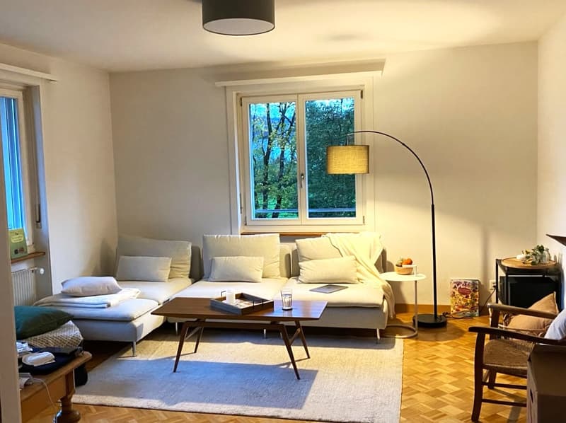 Appartamento di 3 camere a Fischermätteli (1)