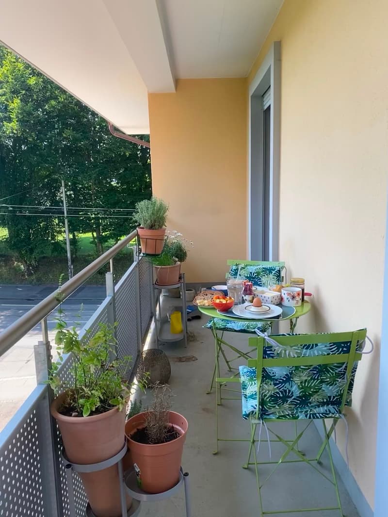 Appartamento di 3 camere a Fischermätteli (4)