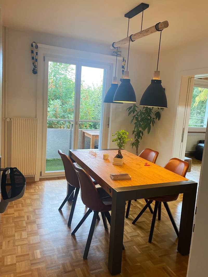 Appartamento di 3 camere a Fischermätteli (2)