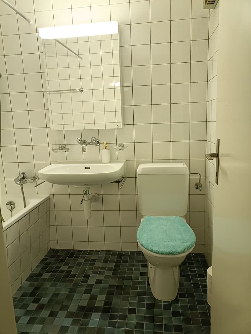 Helle 2-Zimmer-Wohnung mit Balkon in Bern-Bümpliz (3)