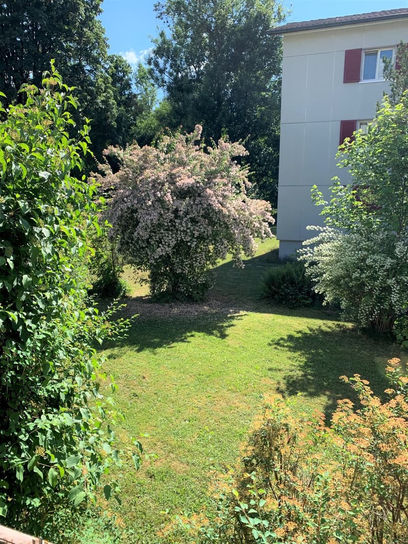 Attraktive 2.5-Zimmer-Wohnung in Zollikofen (3)