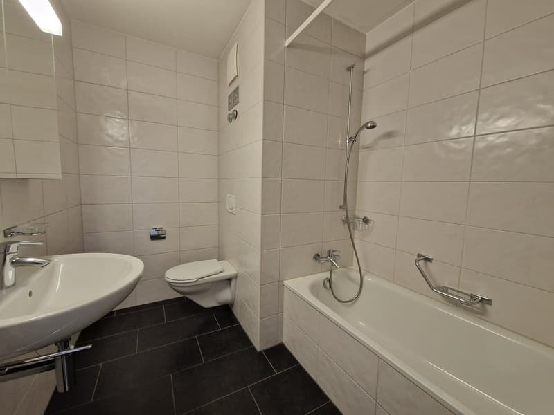 Zentrumsnahe 2-Zimmerwohnung (3)
