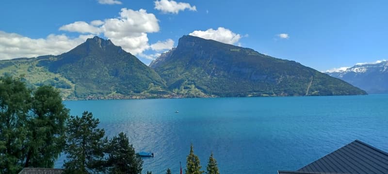 Appartamento di 4,5 locali, 2° piano sinistro (1)
