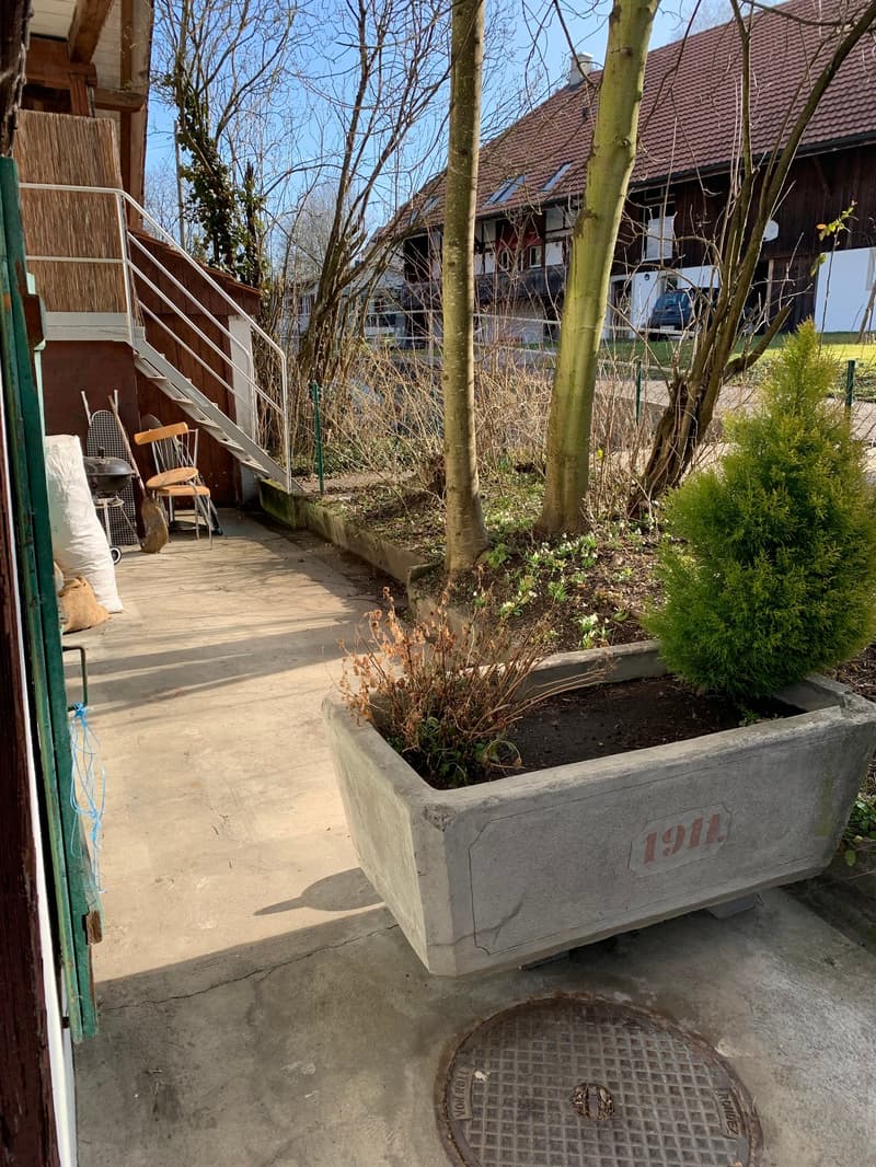 Appartamento accogliente 2 1/2 locali al piano terra con terrazza privata (14)