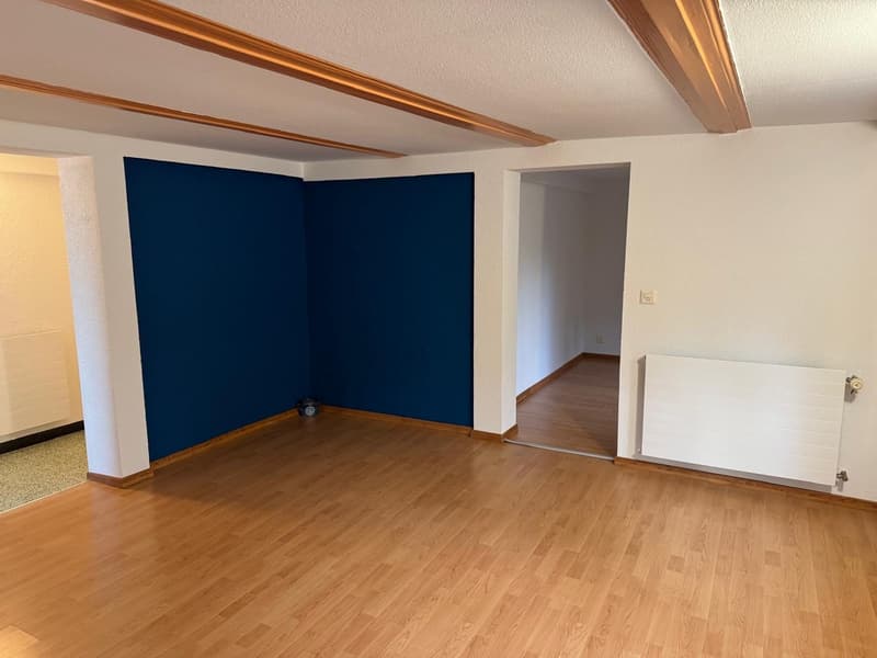 Appartamento accogliente 2 1/2 locali al piano terra con terrazza privata (4)