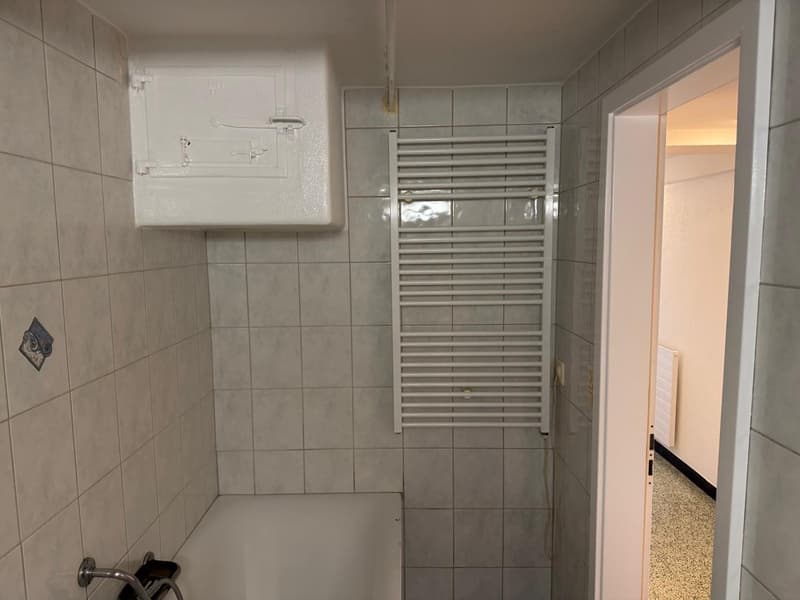 Appartamento accogliente 2 1/2 locali al piano terra con terrazza privata (12)