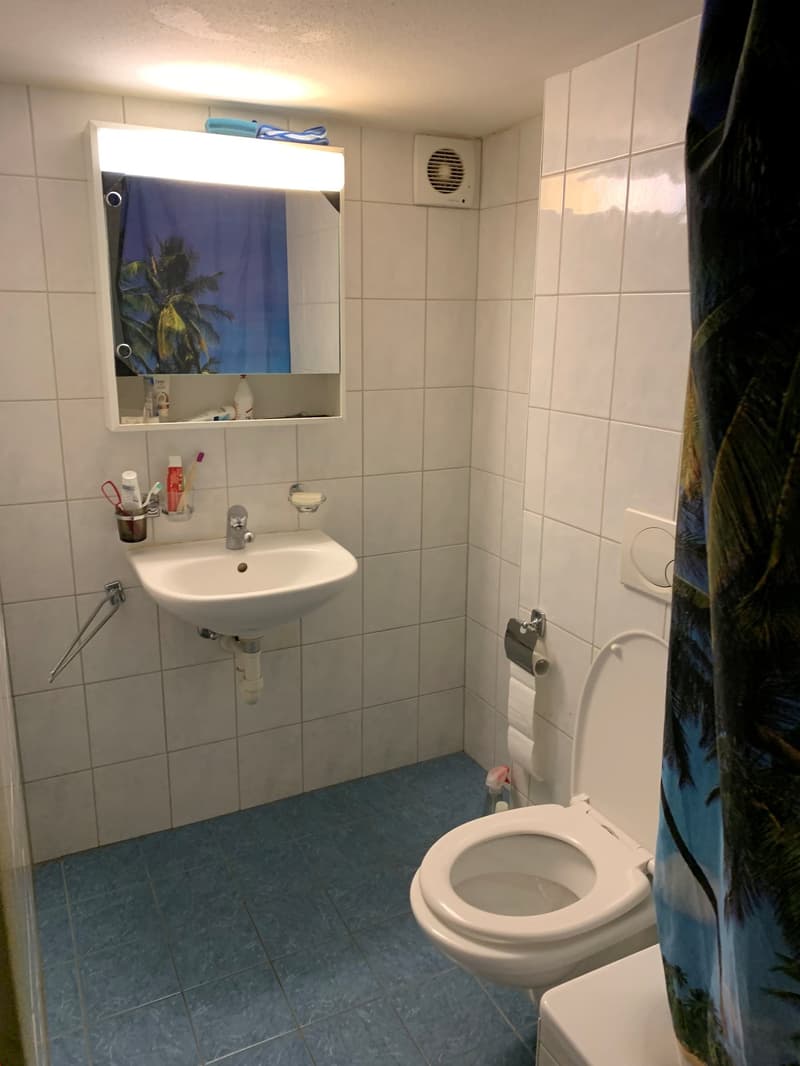 Appartamento accogliente 2 1/2 locali al piano terra con terrazza privata (11)