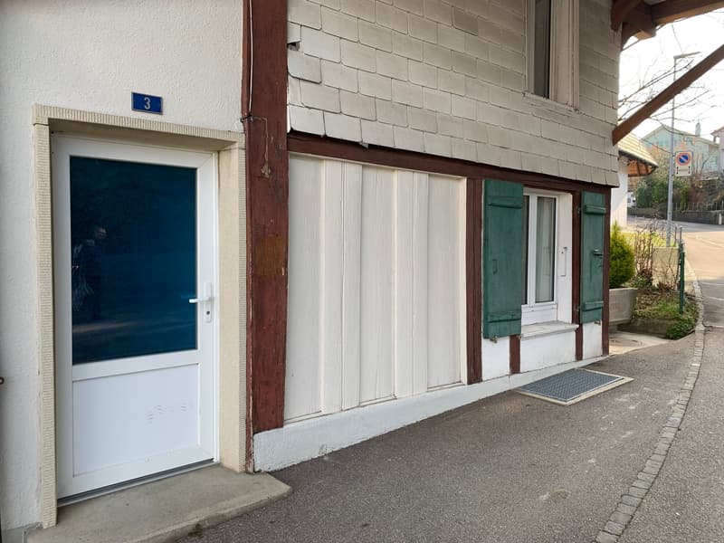 Appartamento accogliente 2 1/2 locali al piano terra con terrazza privata (15)