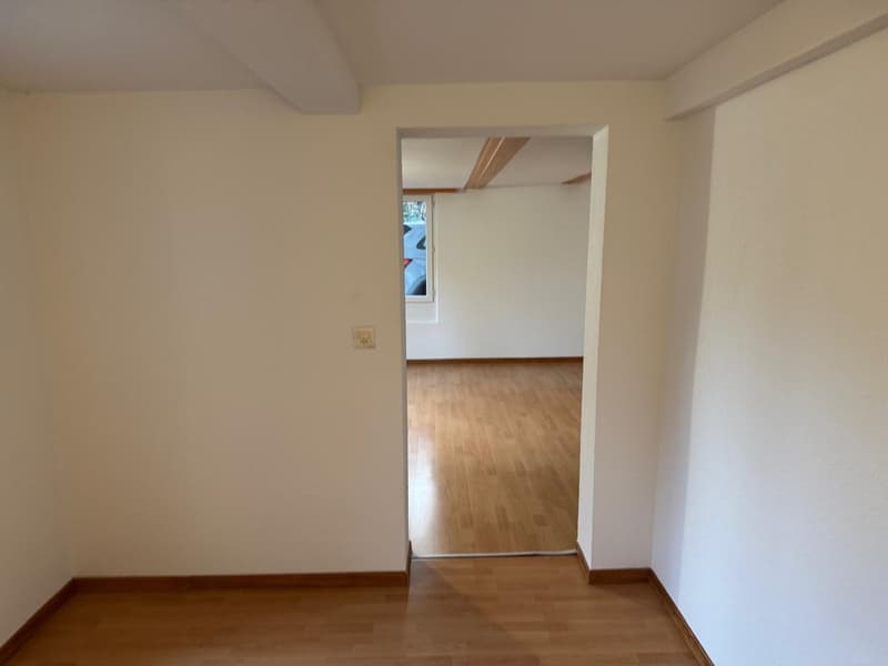 Appartamento accogliente 2 1/2 locali al piano terra con terrazza privata (5)