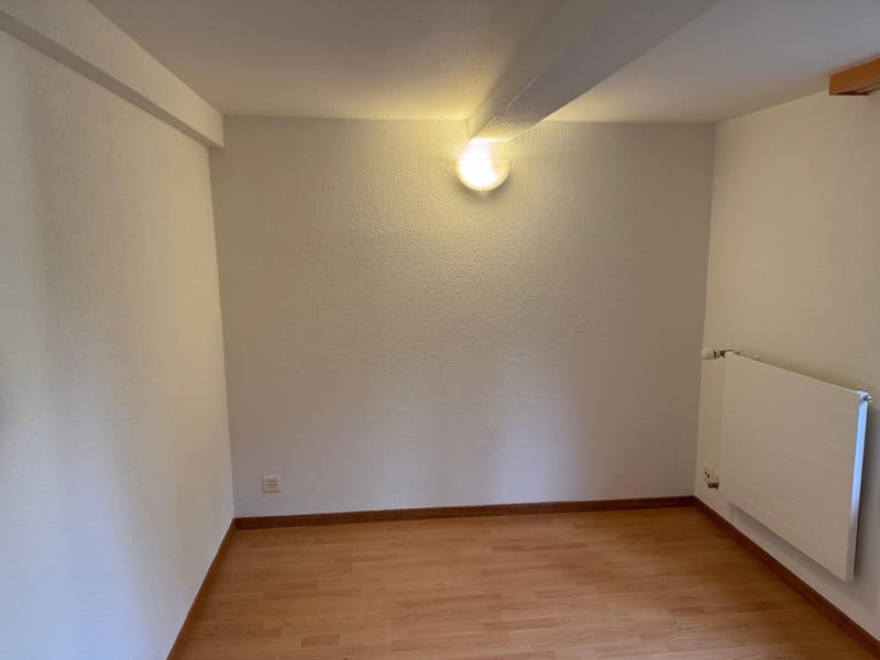 Appartamento accogliente 2 1/2 locali al piano terra con terrazza privata (3)