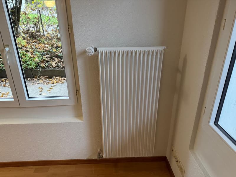 Appartamento accogliente 2 1/2 locali al piano terra con terrazza privata (6)