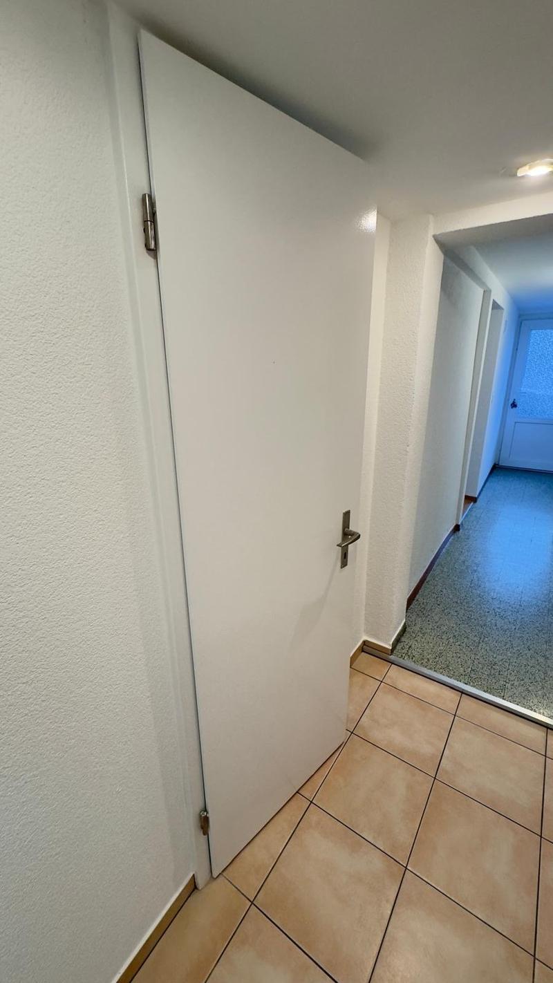 Appartamento accogliente 2 1/2 locali al piano terra con terrazza privata (9)
