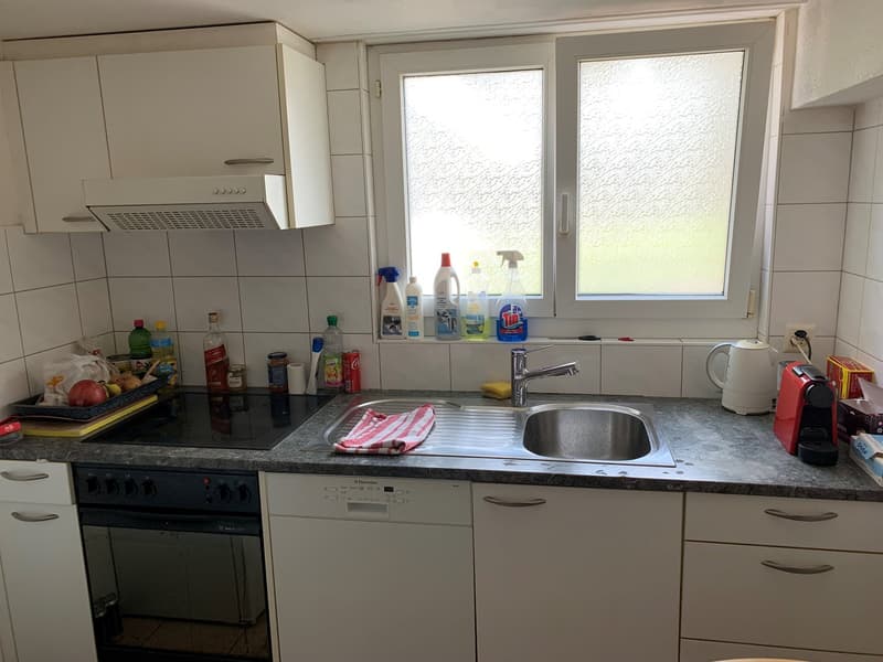 Appartamento accogliente 2 1/2 locali al piano terra con terrazza privata (8)
