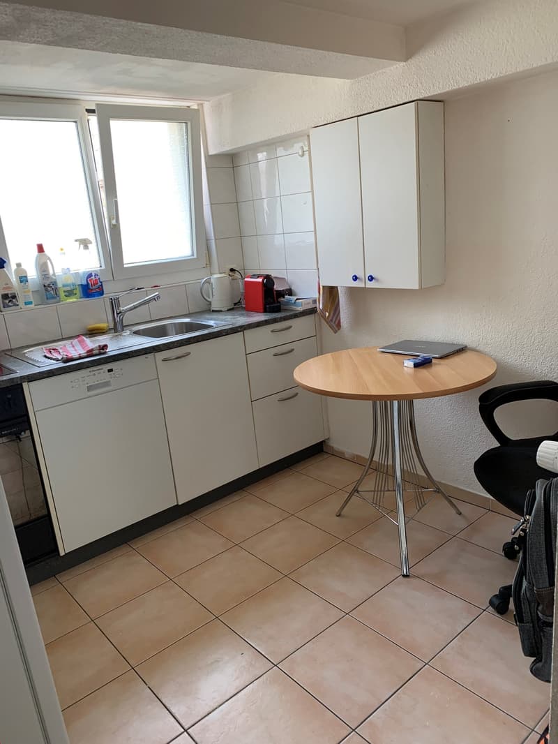 Appartamento accogliente 2 1/2 locali al piano terra con terrazza privata (7)