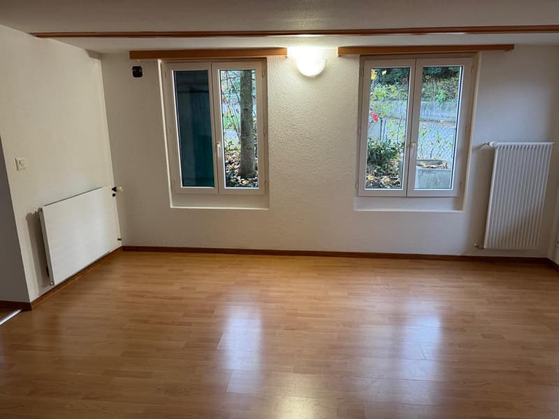 Appartamento accogliente 2 1/2 locali al piano terra con terrazza privata (2)