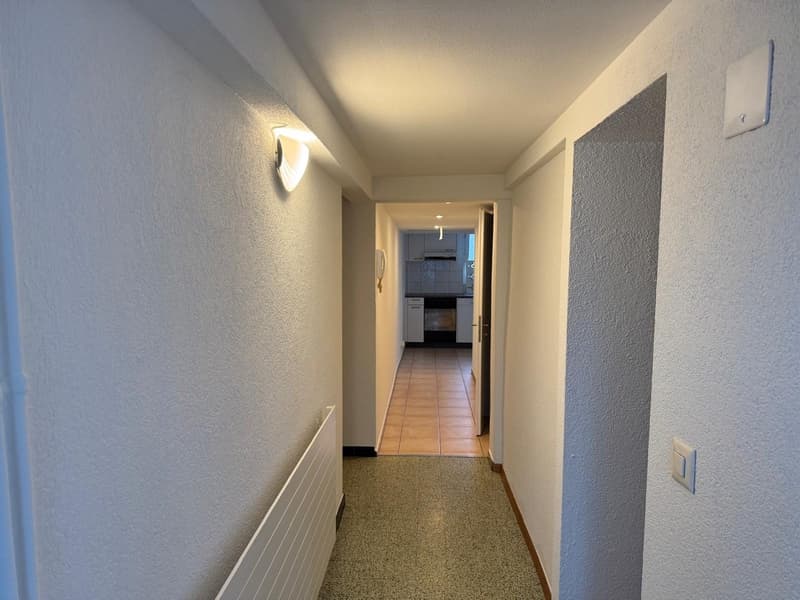 Appartamento accogliente 2 1/2 locali al piano terra con terrazza privata (10)