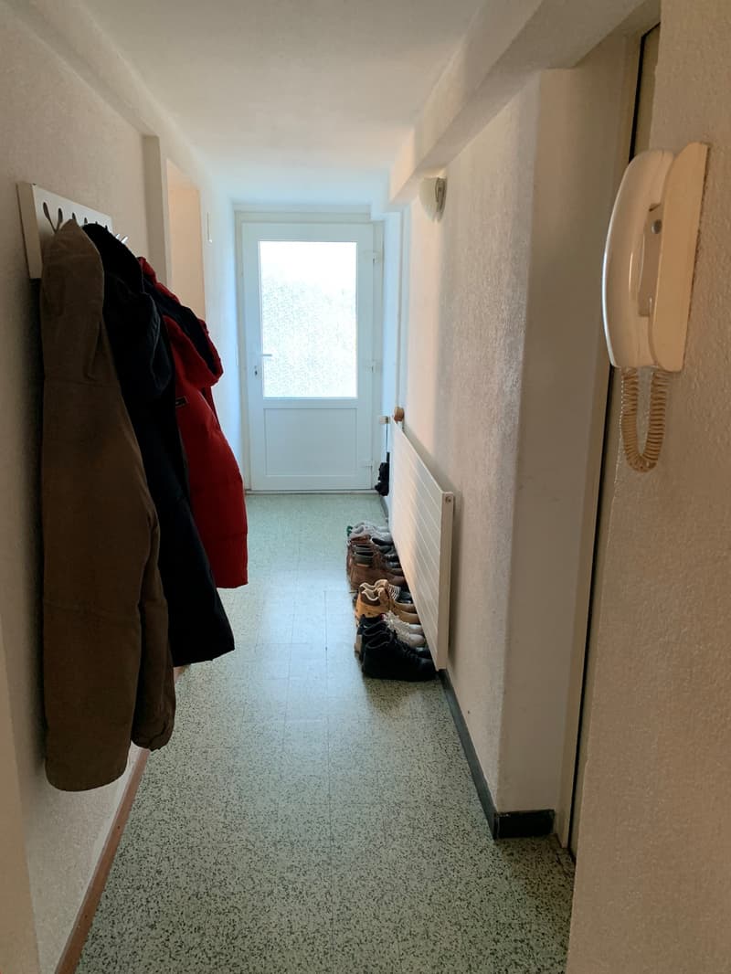 Appartamento accogliente 2 1/2 locali al piano terra con terrazza privata (13)