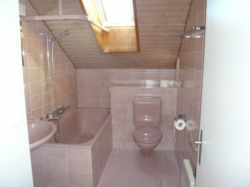 Appartement mansardé 2,5 pièces (3)