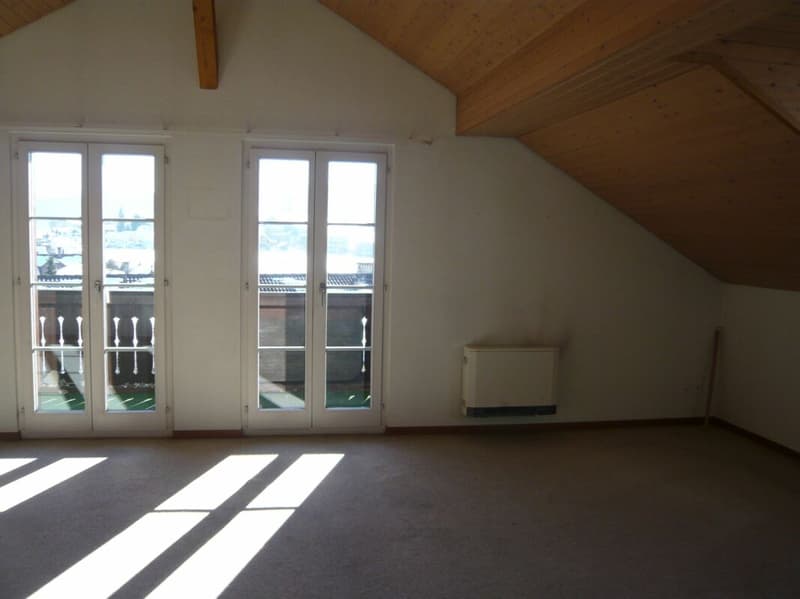 Appartement mansardé 2,5 pièces (5)
