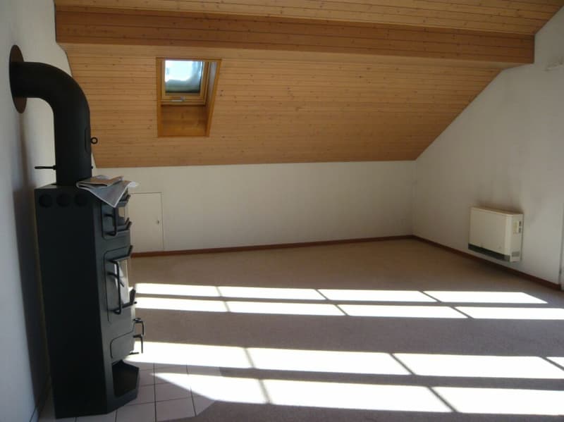 Appartement mansardé 2,5 pièces (2)