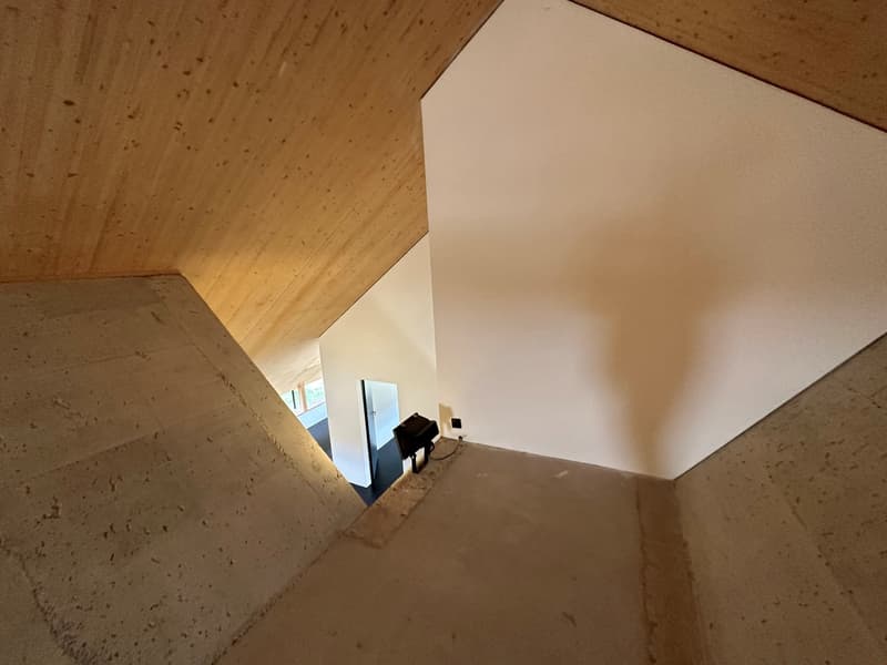 Una combinazione di tranquillità e design unico - Minergie-P, a breve (14)