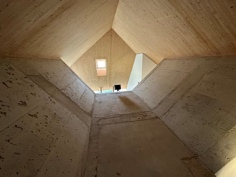 Una combinazione di tranquillità e design unico - Minergie-P, a breve (3)