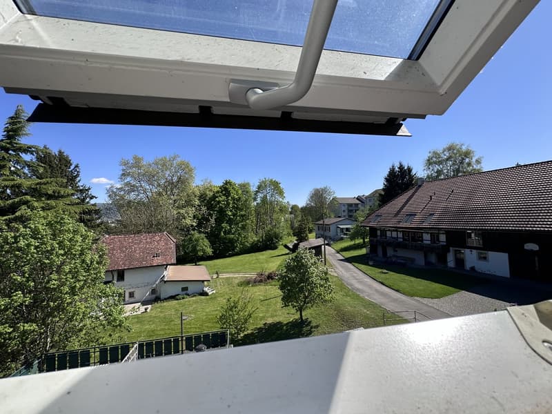 Appartamento luminoso 2 1/2 locali 2° piano sud con balcone privato e stanza mansardata (18)