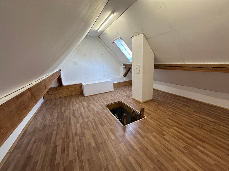 Appartamento luminoso 2 1/2 locali 2° piano sud con balcone privato e stanza mansardata (17)