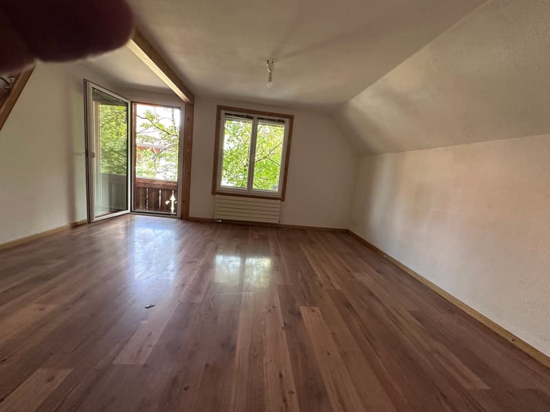 Appartamento luminoso 2 1/2 locali 2° piano sud con balcone privato e stanza mansardata (11)