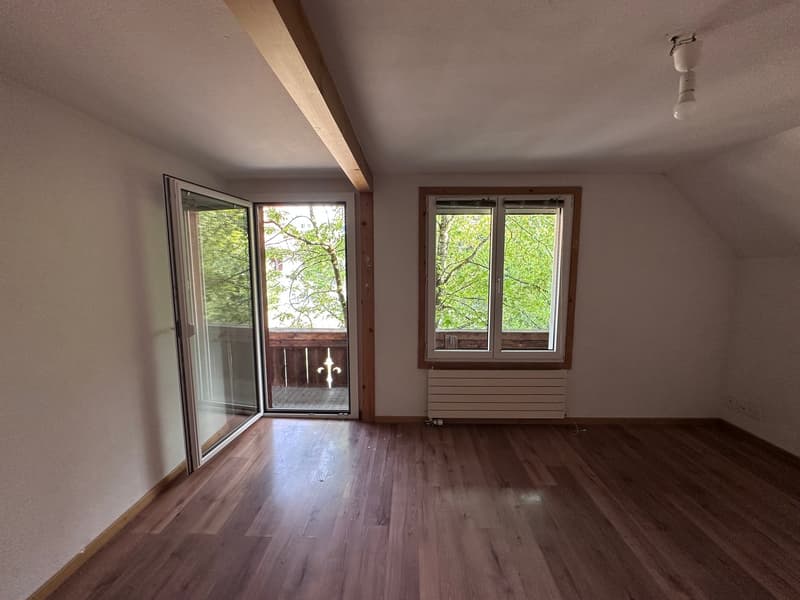 Appartamento luminoso 2 1/2 locali 2° piano sud con balcone privato e stanza mansardata (8)