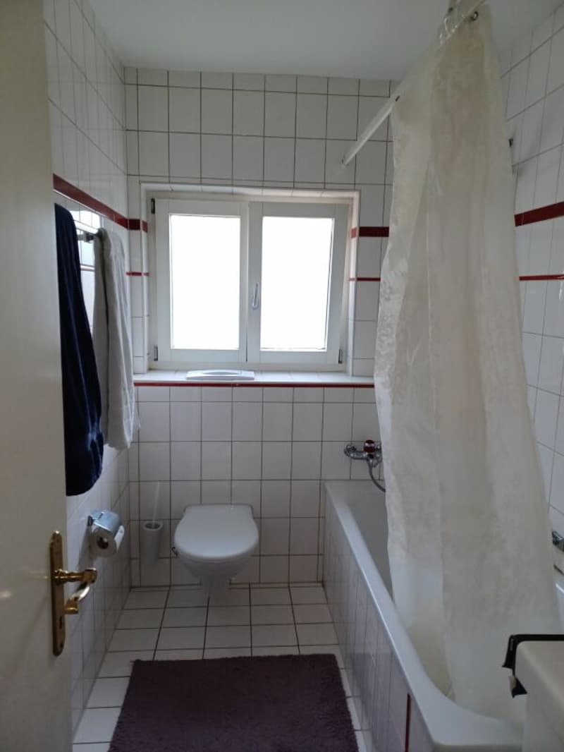Appartement confortable 3 pièces à la périphérie de la ville (8)