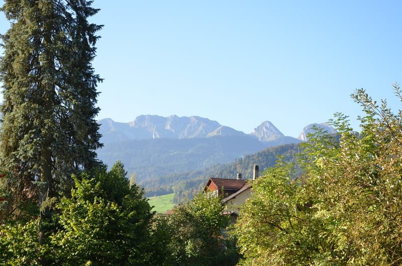 Bijoux: 3 Zimmerwohnung in romantischem Bauernhaus (21)