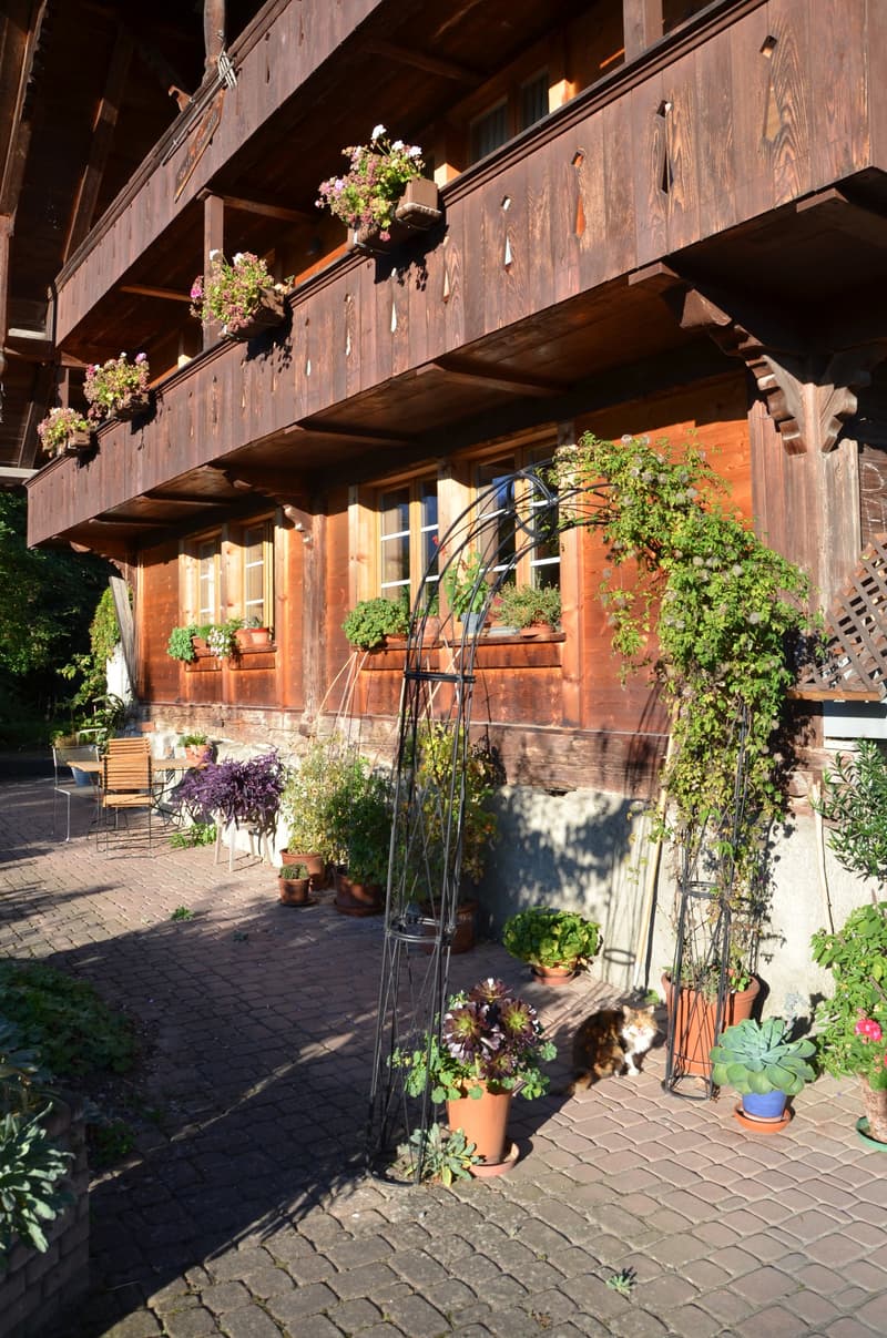 Bijoux: 3 Zimmerwohnung in romantischem Bauernhaus (18)