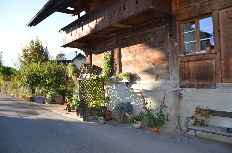 Bijoux: 3 Zimmerwohnung in romantischem Bauernhaus (17)