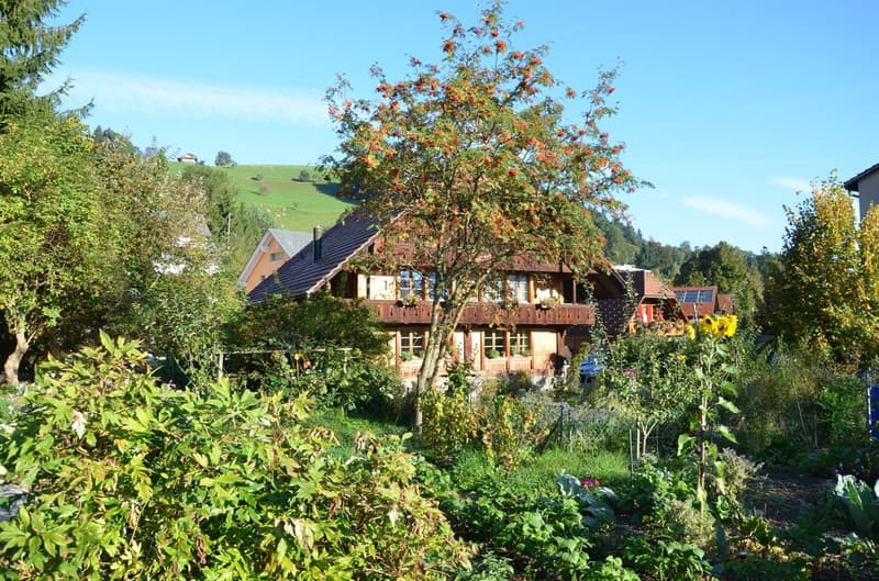 Bijoux: 3 Zimmerwohnung in romantischem Bauernhaus (14)