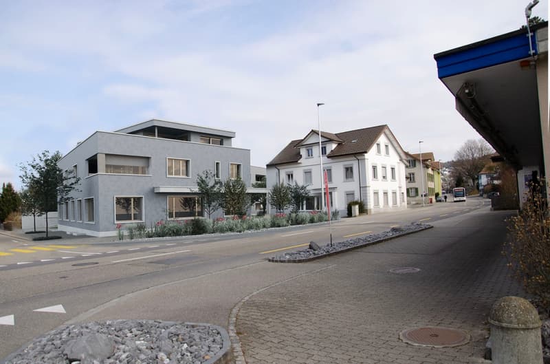 Two houses on the side of the street, gray house with 4 stories, and white house with 3 stories, garden in front.