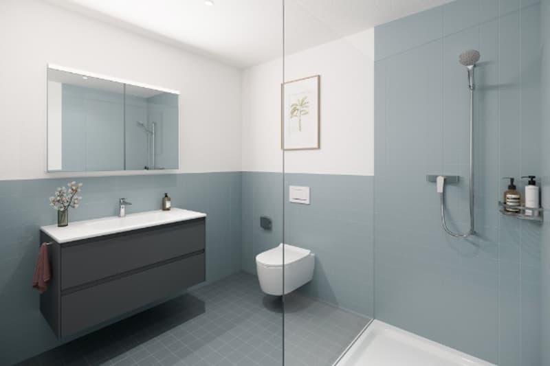 Appartement spacieux dans la vieille ville de Zofingen (2e étage) (4)