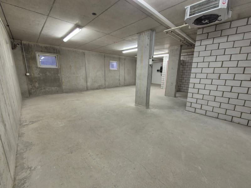Espace commercial et de stockage à Zofingen - utilisation flexible (2)