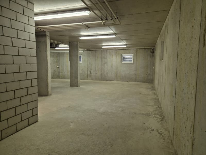 Espace commercial et de stockage à Zofingen - utilisation flexible (3)