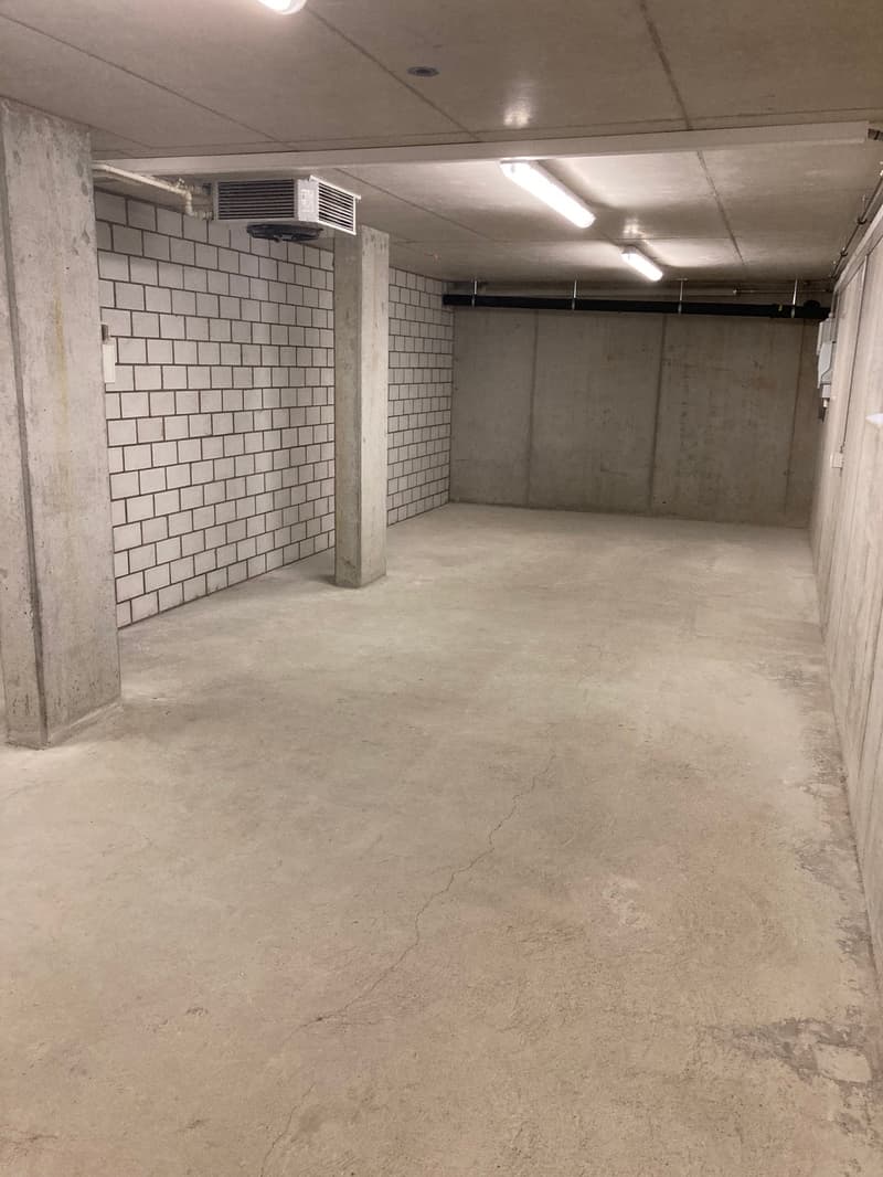 Espace commercial et de stockage à Zofingen - utilisation flexible (5)