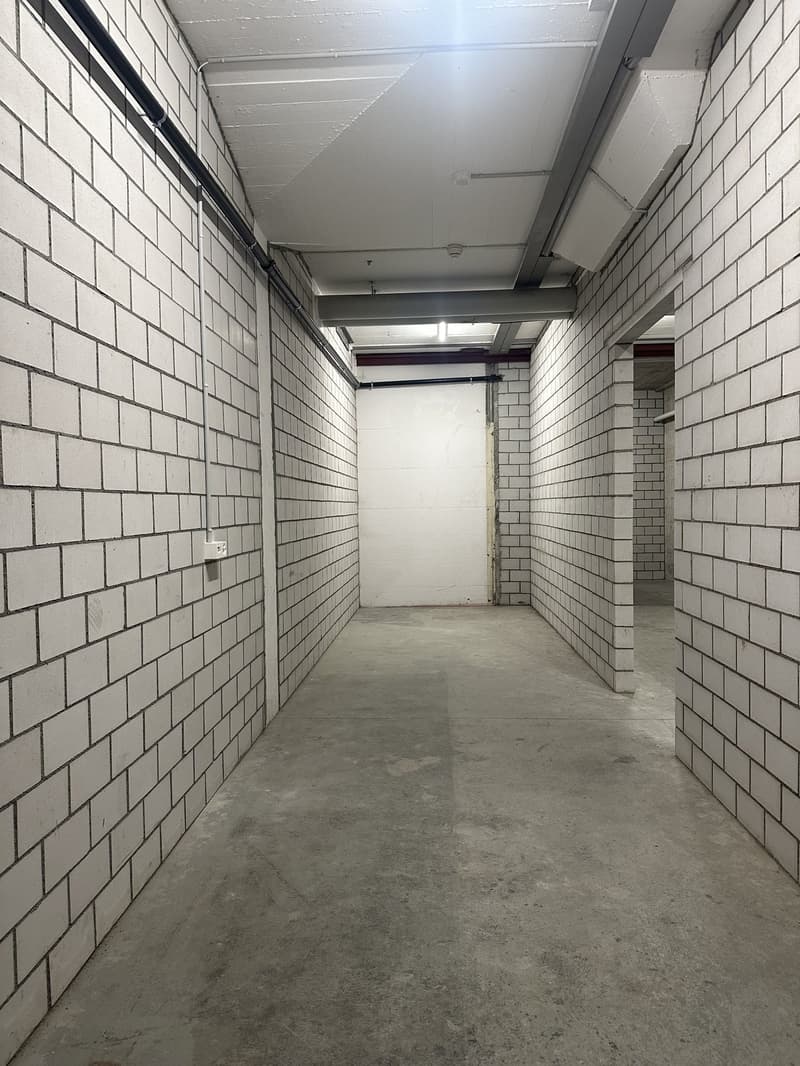 Spazio commerciale e di stoccaggio al piano inferiore (4)