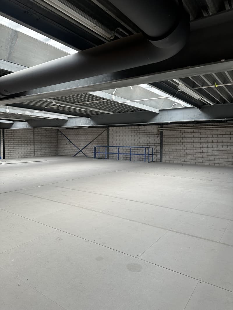 Zentrales Gewerbe-/Industrieobjekt an der Eggasse 4 in Rothrist (3)