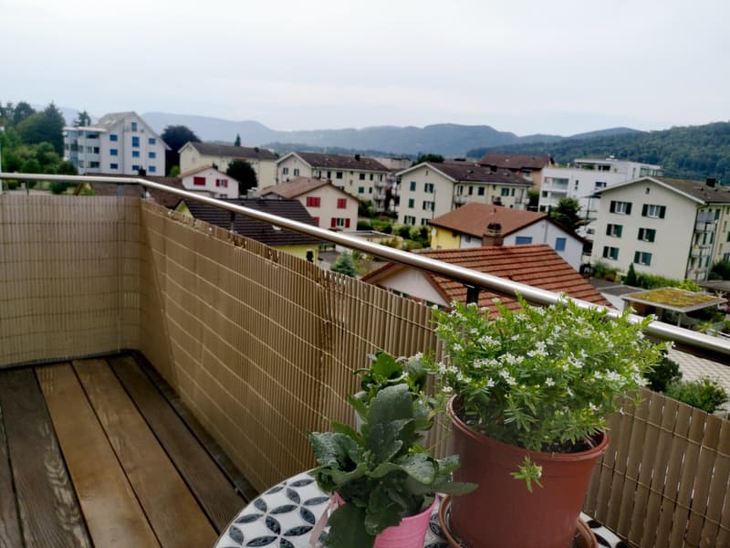 Nachmieter gesucht - gemütliche Dachwohnung (9)