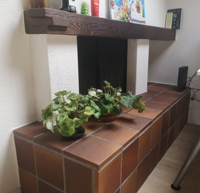 Nachmieter gesucht - gemütliche Dachwohnung (5)