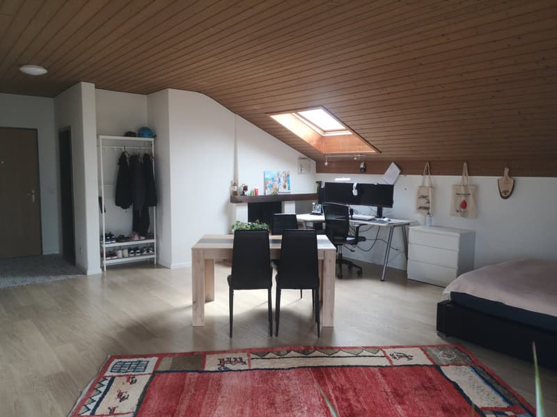 Nachmieter gesucht - gemütliche Dachwohnung (4)