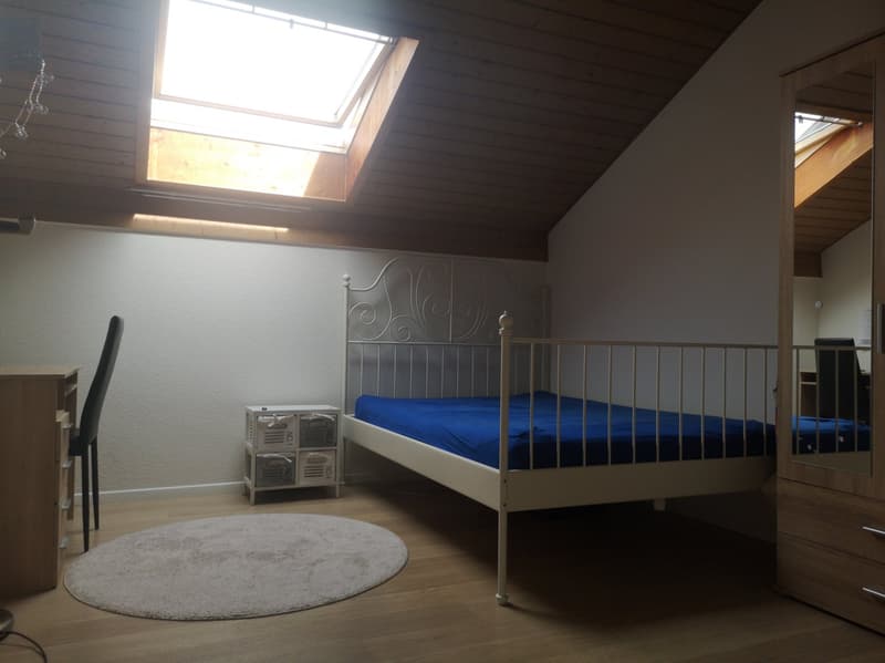 Nachmieter gesucht - gemütliche Dachwohnung (6)