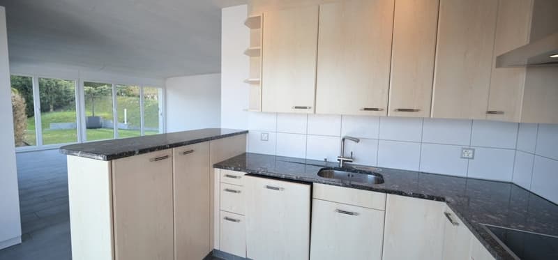 DAS SUCHEN HAT EIN ENDE. Modernes Einfamilienhaus mit Panoramablick (8)