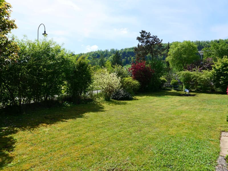 The image shows a lush, green outdoor landscape with a large grassy lawn surrounded by various trees and shrubs. There is a lamp post visible in the foreground, and the background features a forested area with a mix of evergreen and deciduous trees. The s