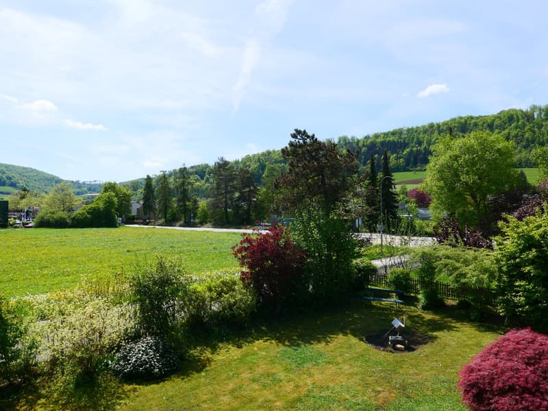 Maison unifamiliale ou 2 générations architecturalement élégante et très spacieuse ... (33)